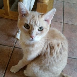 Meet your Posher, Michele